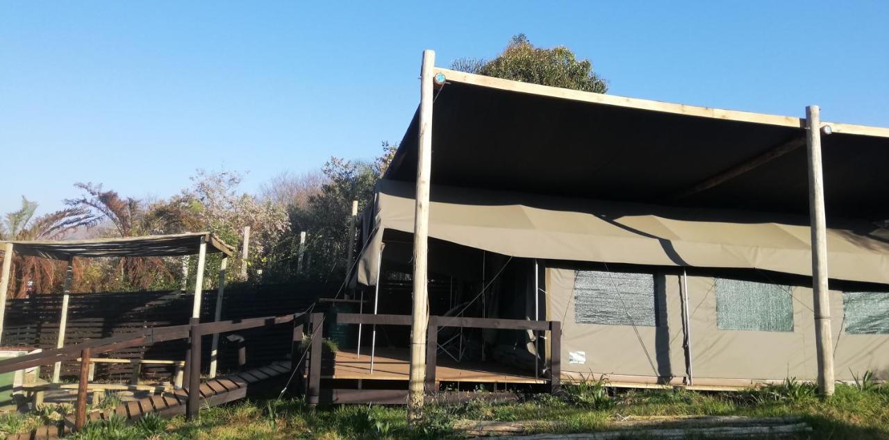 Chosen Glamping Tents グラスコップ エクステリア 写真