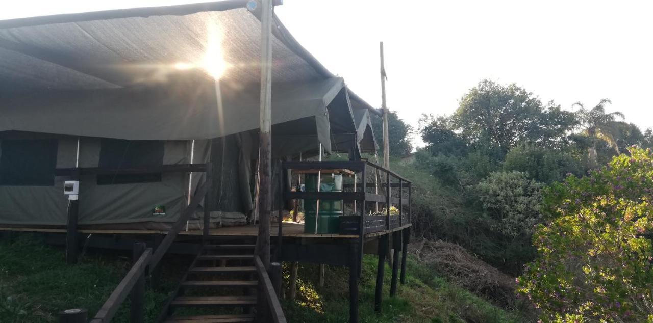 Chosen Glamping Tents グラスコップ エクステリア 写真