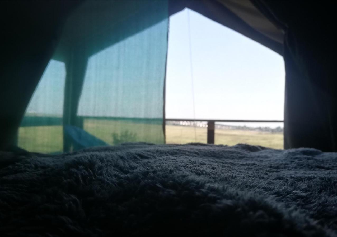 Chosen Glamping Tents グラスコップ エクステリア 写真