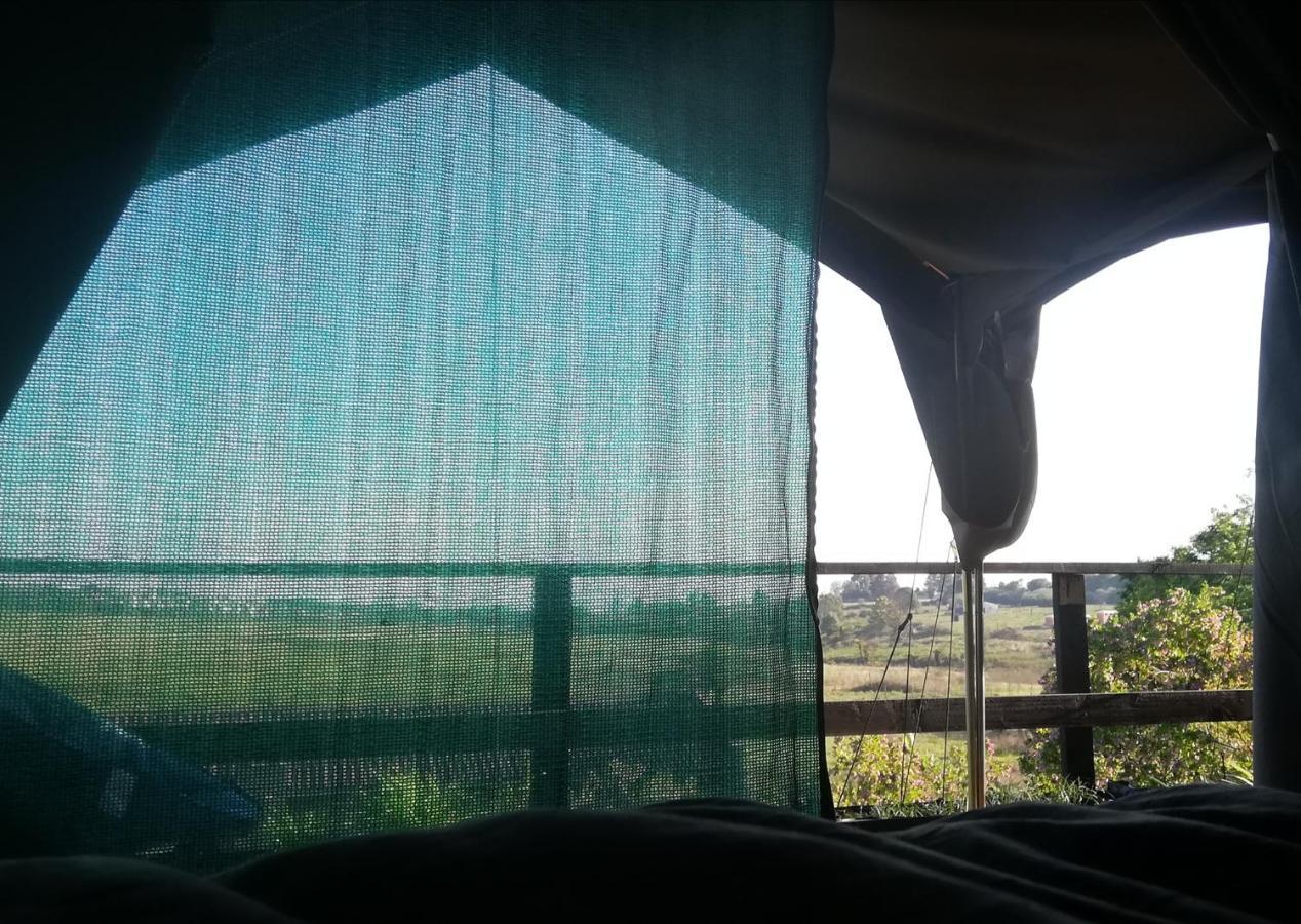 Chosen Glamping Tents グラスコップ エクステリア 写真
