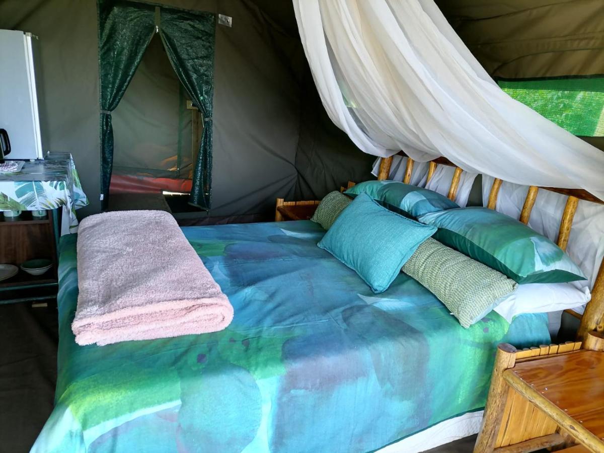 Chosen Glamping Tents グラスコップ エクステリア 写真