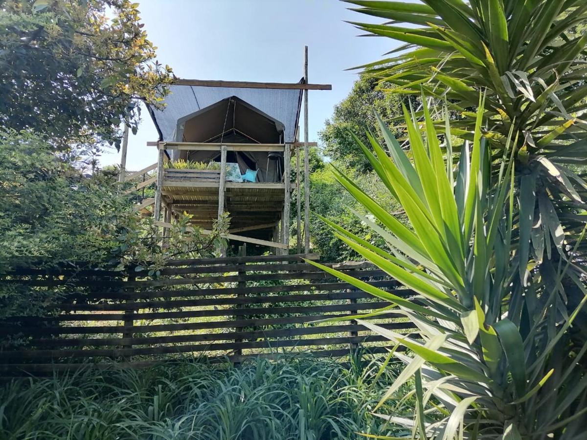 Chosen Glamping Tents グラスコップ エクステリア 写真