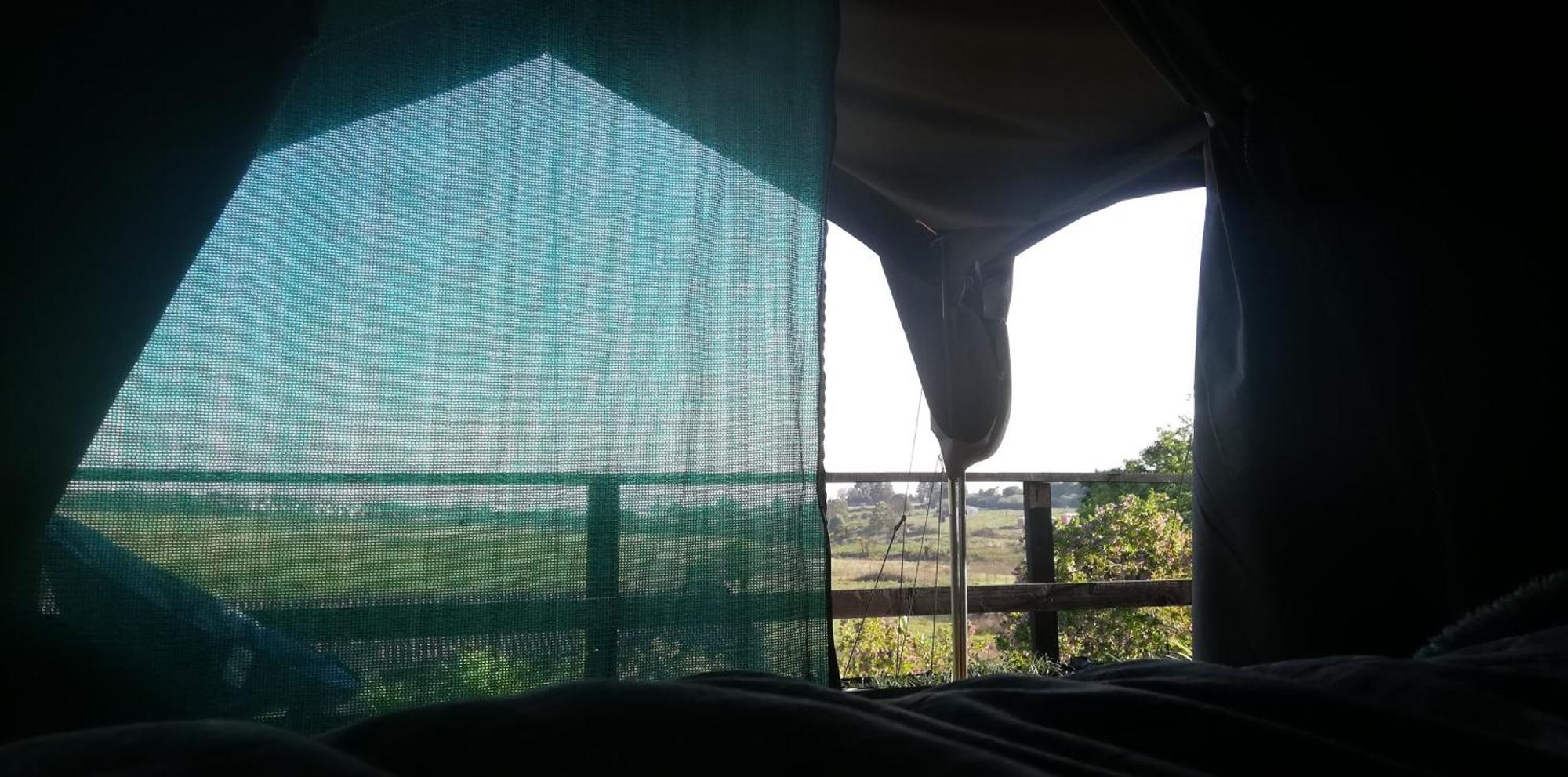 Chosen Glamping Tents グラスコップ エクステリア 写真