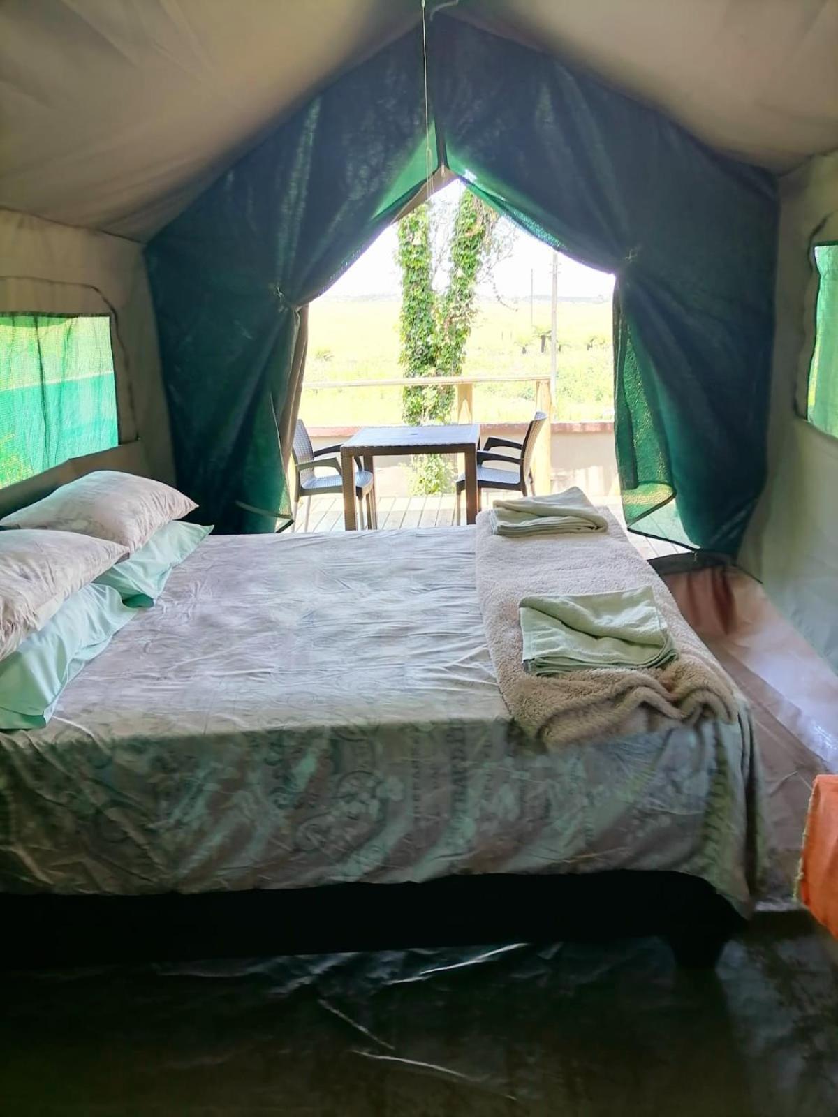 Chosen Glamping Tents グラスコップ エクステリア 写真